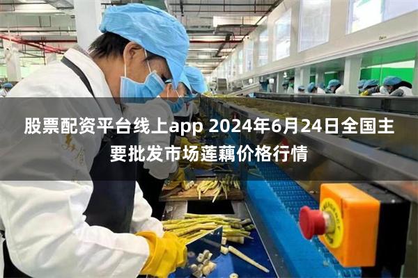 股票配资平台线上app 2024年6月24日全国主要批发市场莲藕价格行情