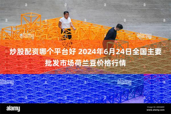 炒股配资哪个平台好 2024年6月24日全国主要批发市场荷兰豆价格行情