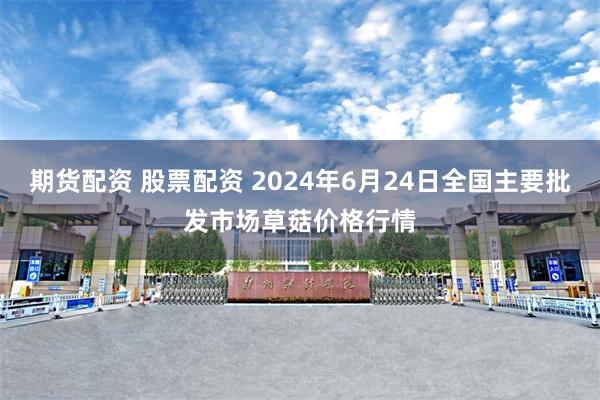 期货配资 股票配资 2024年6月24日全国主要批发市场草菇价格行情