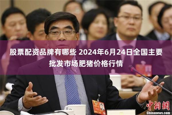 股票配资品牌有哪些 2024年6月24日全国主要批发市场肥猪价格行情