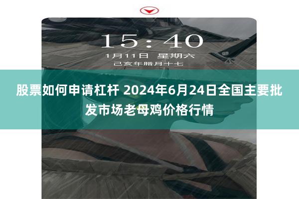 股票如何申请杠杆 2024年6月24日全国主要批发市场老母鸡价格行情