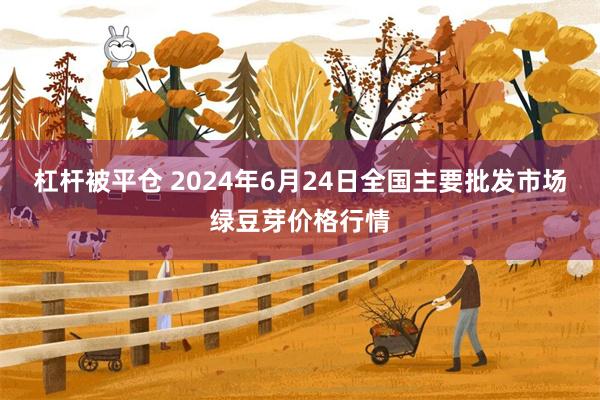 杠杆被平仓 2024年6月24日全国主要批发市场绿豆芽价格行情