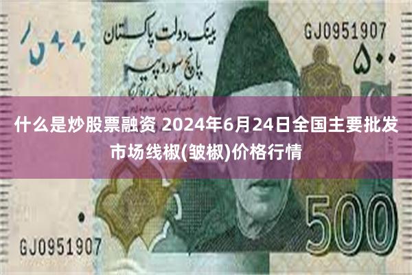 什么是炒股票融资 2024年6月24日全国主要批发市场线椒(皱椒)价格行情