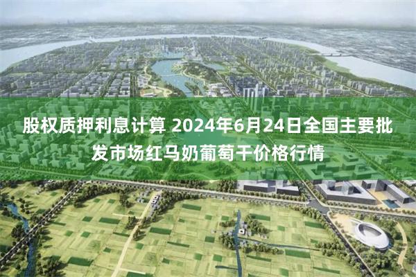 股权质押利息计算 2024年6月24日全国主要批发市场红马奶葡萄干价格行情