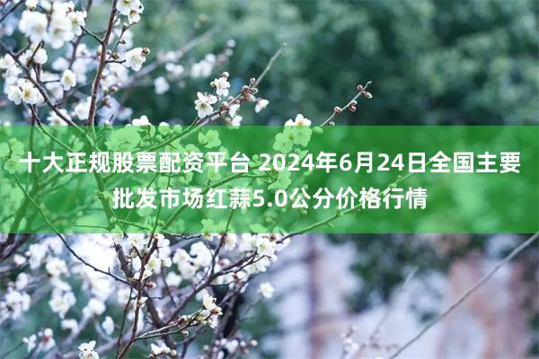 十大正规股票配资平台 2024年6月24日全国主要批发市场红蒜5.0公分价格行情