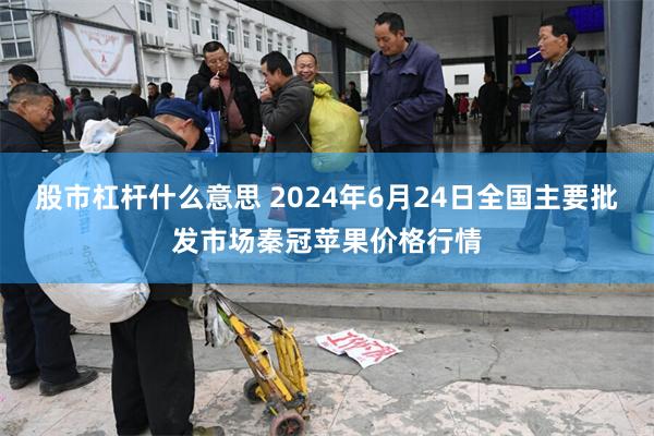 股市杠杆什么意思 2024年6月24日全国主要批发市场秦冠苹果价格行情