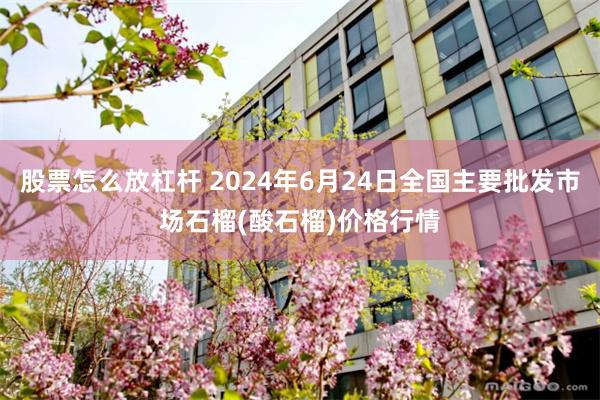 股票怎么放杠杆 2024年6月24日全国主要批发市场石榴(酸石榴)价格行情