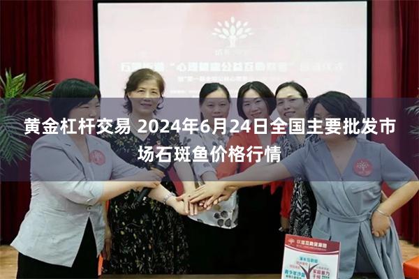 黄金杠杆交易 2024年6月24日全国主要批发市场石斑鱼价格行情