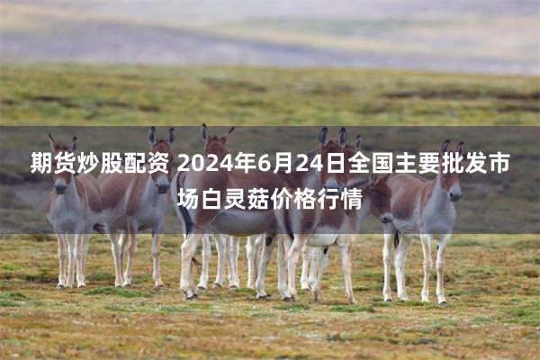 期货炒股配资 2024年6月24日全国主要批发市场白灵菇价格行情