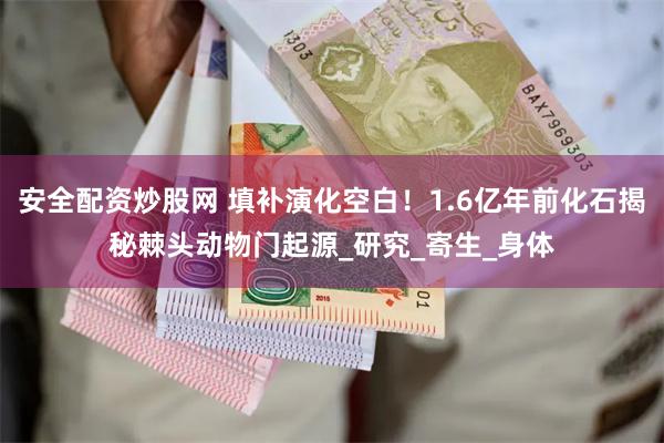 安全配资炒股网 填补演化空白！1.6亿年前化石揭秘棘头动物门起源_研究_寄生_身体
