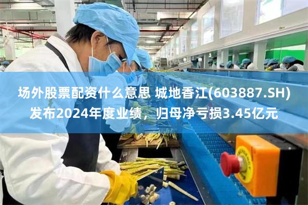 场外股票配资什么意思 城地香江(603887.SH)发布2024年度业绩，归母净亏损3.45亿元