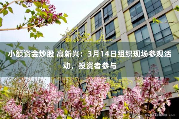 小额资金炒股 高新兴：3月14日组织现场参观活动，投资者参与