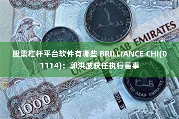 股票杠杆平台软件有哪些 BRILLIANCE CHI(01114)：郭洪波获任执行董事