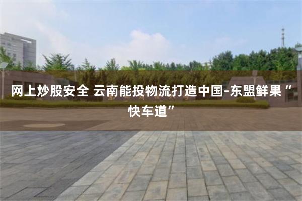 网上炒股安全 云南能投物流打造中国-东盟鲜果“快车道”