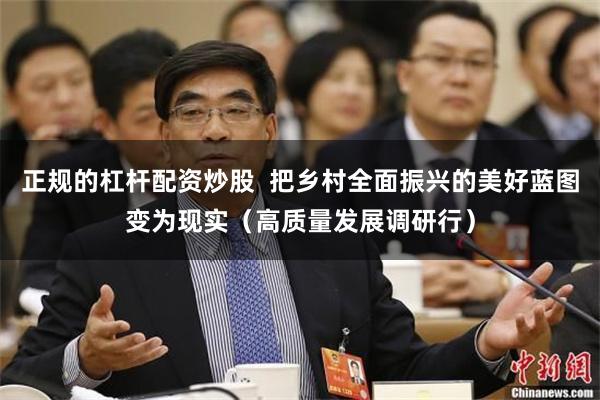 正规的杠杆配资炒股  把乡村全面振兴的美好蓝图变为现实（高质量发展调研行）