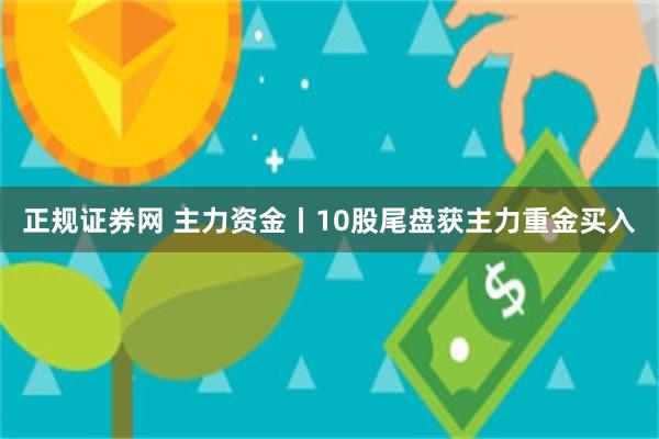 正规证券网 主力资金丨10股尾盘获主力重金买入