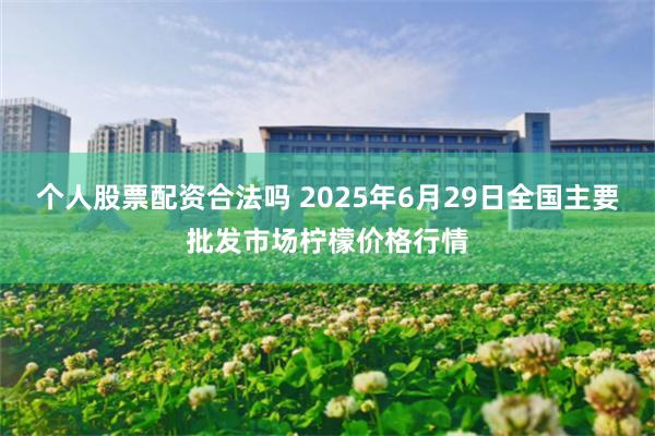 个人股票配资合法吗 2025年6月29日全国主要批发市场柠檬价格行情