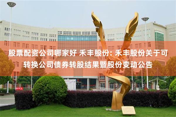 股票配资公司哪家好 禾丰股份: 禾丰股份关于可转换公司债券转股结果暨股份变动公告