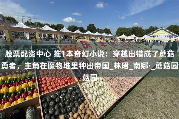 股票配资中心 推1本奇幻小说：穿越出错成了蘑菇勇者，主角在魔物堆里种出帝国_林珺_南娜·_蘑菇园
