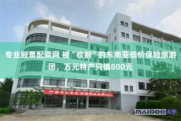 专业股票配资网 被“收割”的东南亚低价保险旅游团，万元特产只值800元
