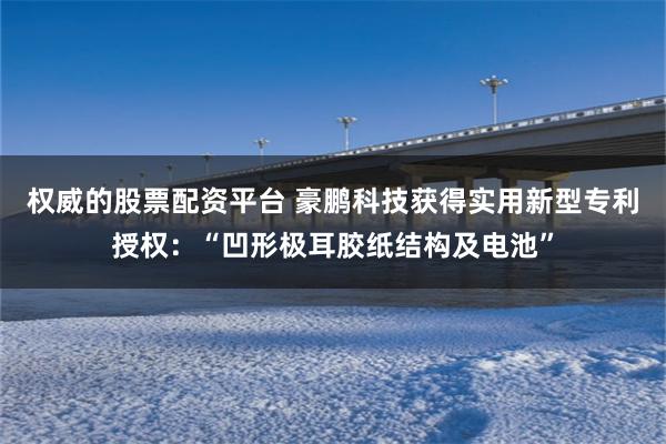 权威的股票配资平台 豪鹏科技获得实用新型专利授权：“凹形极耳胶纸结构及电池”
