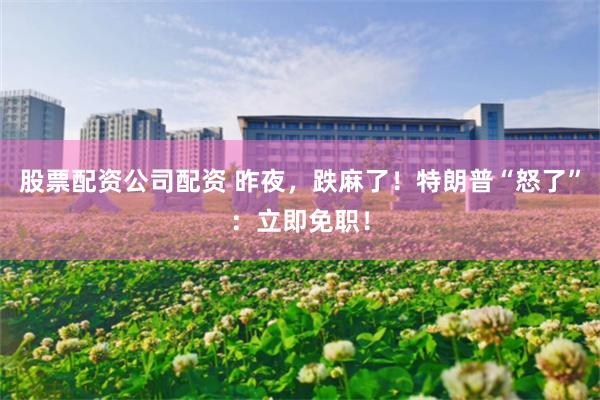 股票配资公司配资 昨夜，跌麻了！特朗普“怒了”：立即免职！