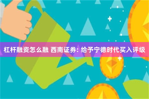 杠杆融资怎么融 西南证券: 给予宁德时代买入评级