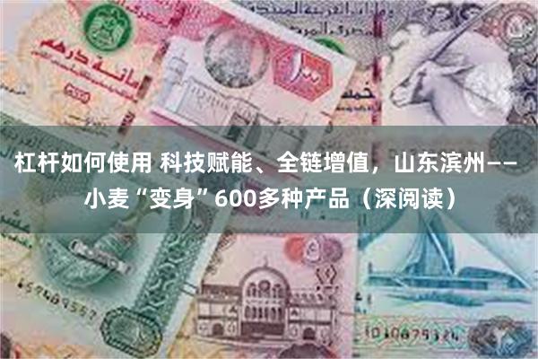 杠杆如何使用 科技赋能、全链增值，山东滨州—— 小麦“变身”600多种产品（深阅读）