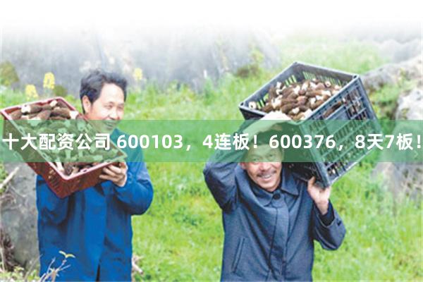 十大配资公司 600103,4连板!600376,8天7板!