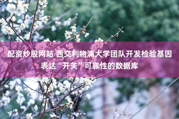 配资炒股网站 西交利物浦大学团队开发检验基因表达“开关”可靠性的数据库