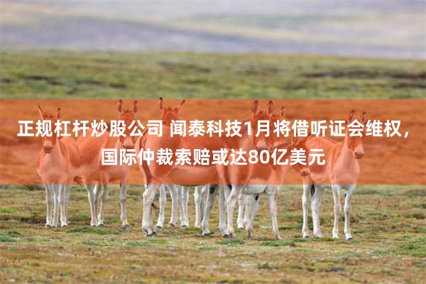 正规杠杆炒股公司 闻泰科技1月将借听证会维权，国际仲裁索赔或达80亿美元